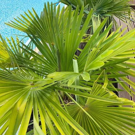 Avalon Ideal Gelegen Zwischen Europapark Und Rulantica 4* Rust