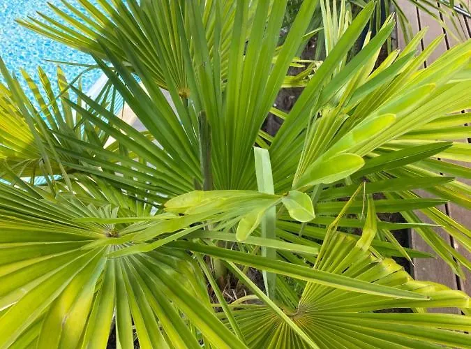 Avalon Ideal Gelegen Zwischen Europapark Und Rulantica 4* Rust